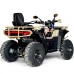 Бензиново ATV FURY 2026 - 250CC
