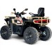 Бензиново ATV FURY 2026 - 250CC