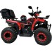 Бензиново ATV INTRUDER 2024 - 250CC