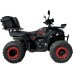 Бензиново ATV INTRUDER 2024 - 250CC